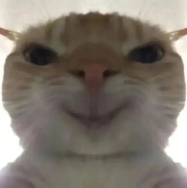 DƬ